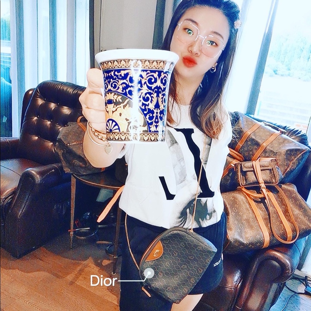 Dior shoulder bag